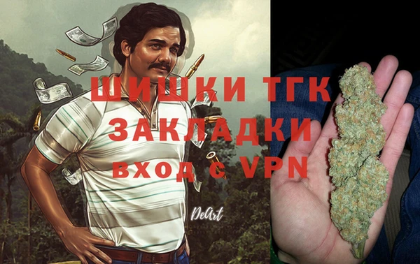 гашик Каменногорск