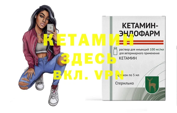дживик Инта