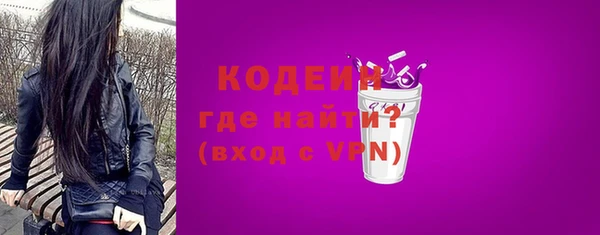дживик Инта