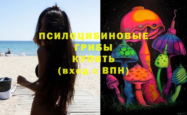 гашик Каменногорск