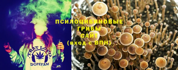 прущая мука Володарск