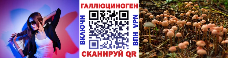 Псилоцибиновые грибы Psilocybine cubensis  darknet наркотические препараты  Буйнакск  купить  сайты 