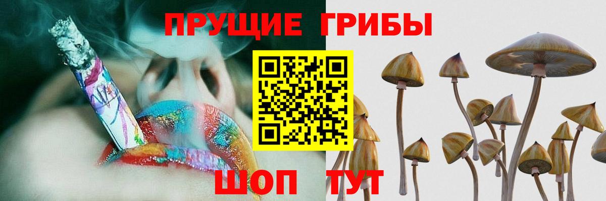 Псилоцибиновые грибы ЛСД Буйнакск